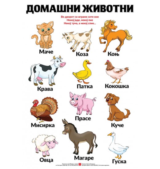 Едукативен постер - Домашни животни